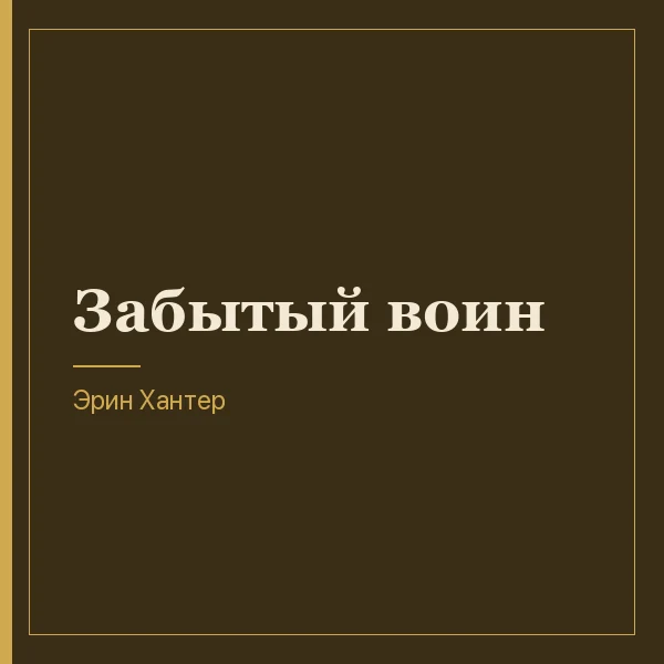 Забытый воин